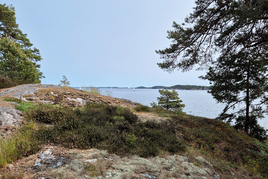 Skärgård med hav och klippor